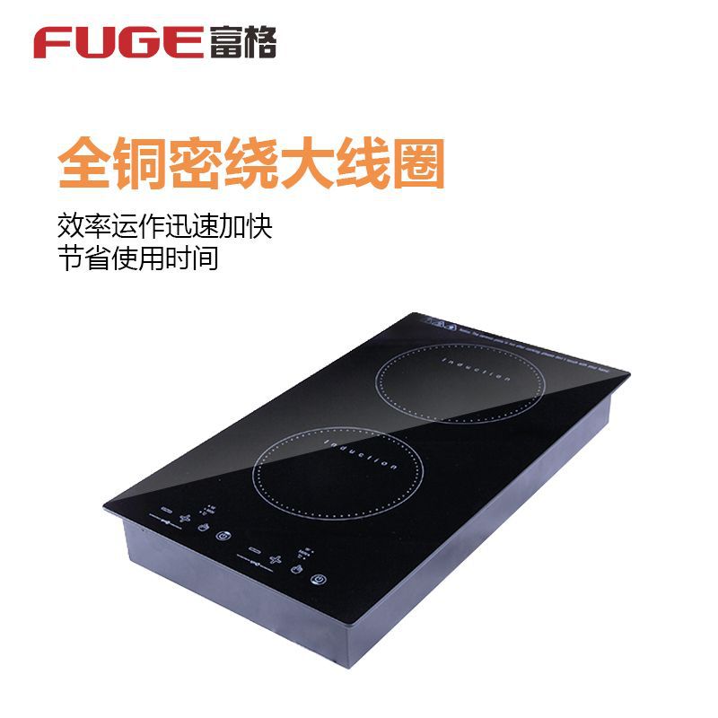 AOLIVIYA Dwupalnikowa Indukcyj – Induction Cooktop Portable recenzja i cena